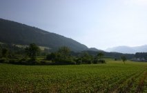 gasserhof-pfalzen-01