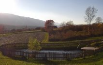 gasserhof-pfalzen-05