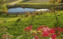 gasserhof-pfalzen-06