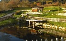 gasserhof-pfalzen-08