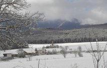 gasserhof-pfalzen-12