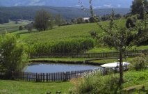 gasserhof-pfalzen-18