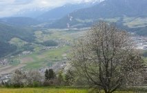 gasserhof-pfalzen-29