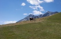 gasserhof-pfalzen-32
